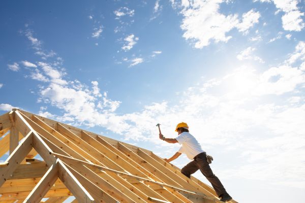 Carpentry Repair