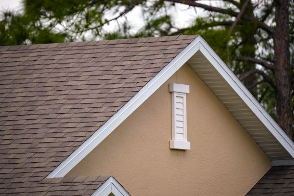 Fascia Repair