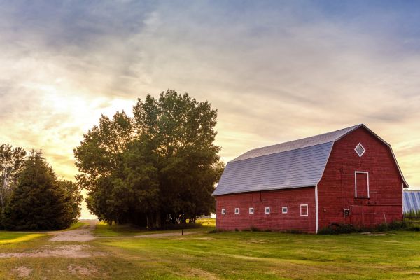 Barn Installation