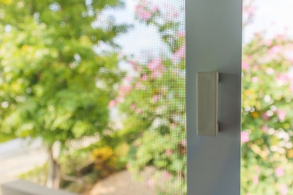Terrace Screen Renovation