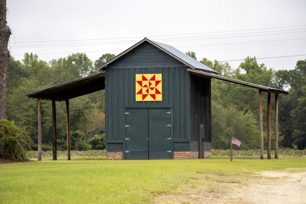 Barn Door Replacement