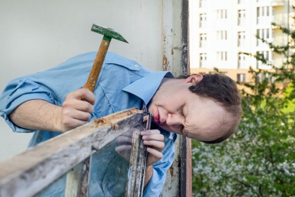 Dry Rot Removal