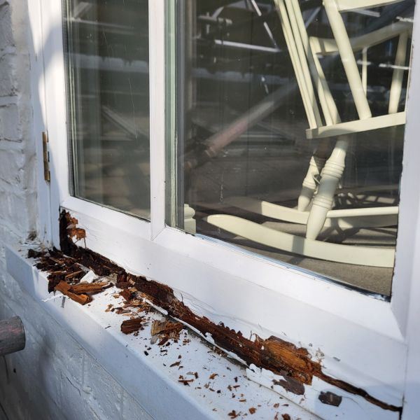 Dry Rot Removal