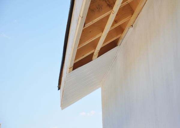 Exterior Trim Repair