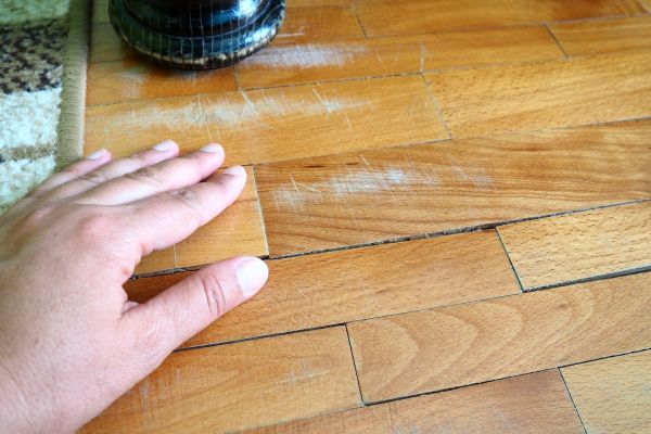 Dry Rot Remediation