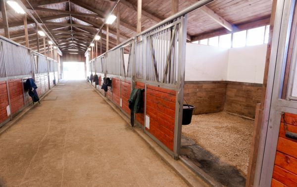 Equestrian Barn Building