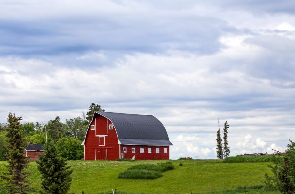 Antique Barn Restoration