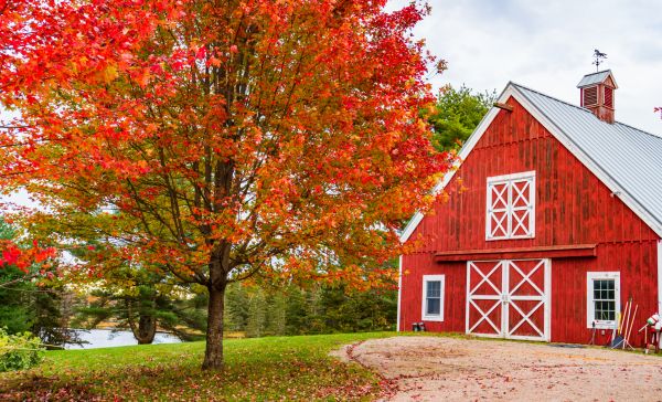 Barn Door Repair
