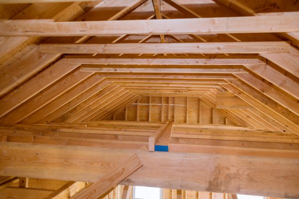 Dry Rot Damage Repair
