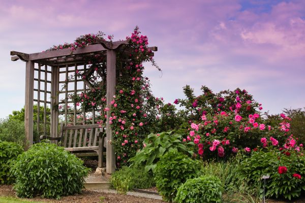 Garden Trellis Installation