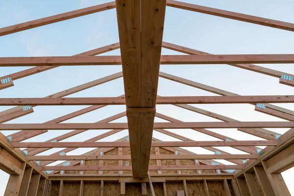 Floor Joist Inspection