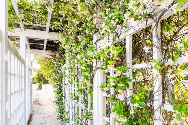 Backyard Trellis Installation