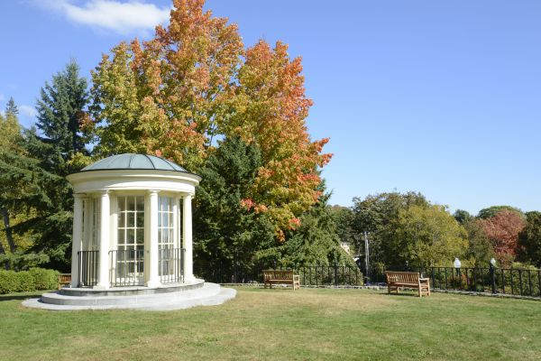 Garden Shed Installation