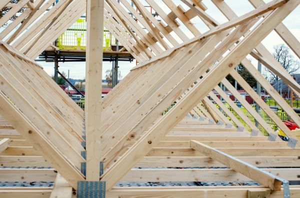 Roof Support Framing