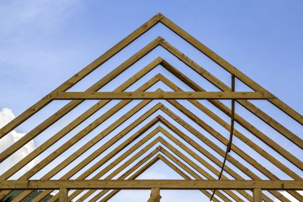 Conventional Roof Framing