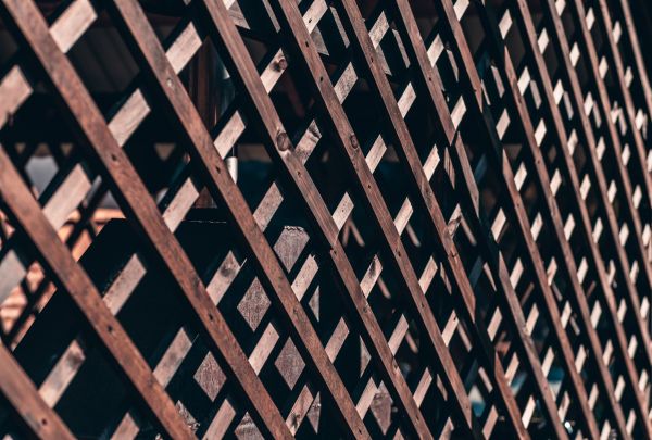 Fence Trellis Installation