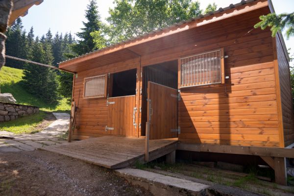 Equine Shelter Construction