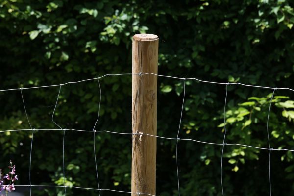 Wood Pole Replacement