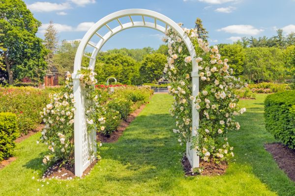 Arched Trellis Construction