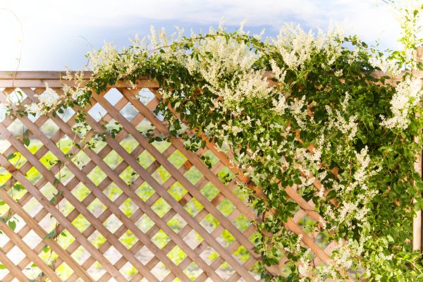 Deck Lattice Installation