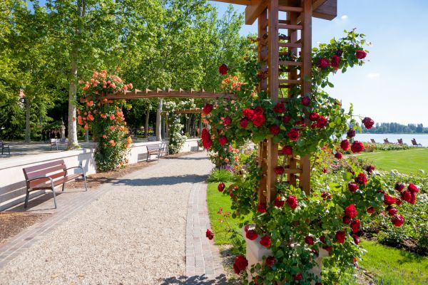 Rose Trellis Assembly