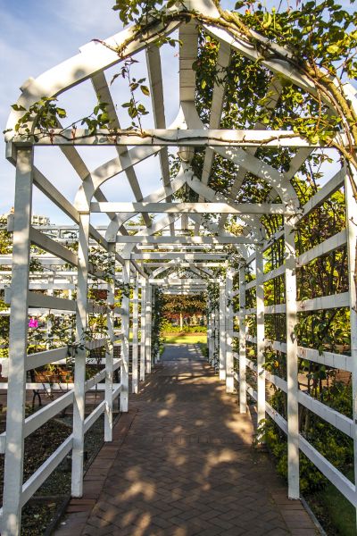 Arched Trellis Installation