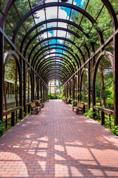 Arched Pergola Installation