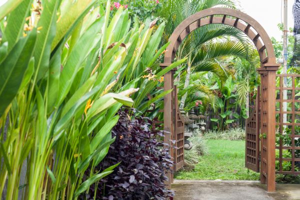 Arbor Construction