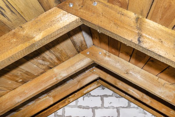 Decayed Joist Restoration