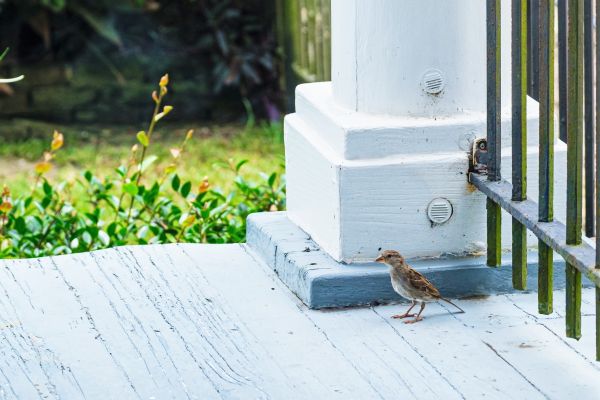 Porch Column Repair Service