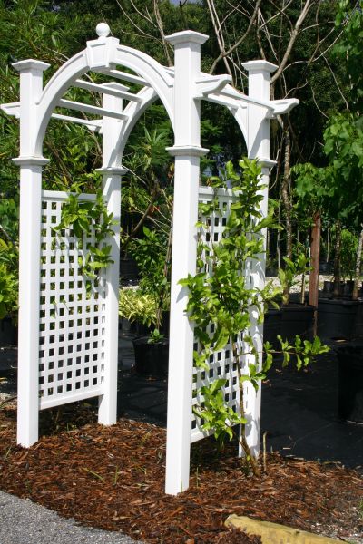 Garden Arbor Construction