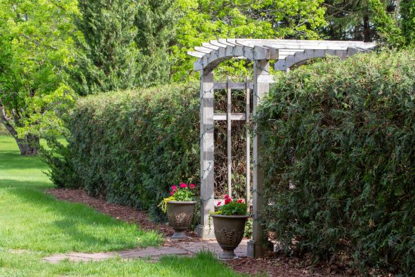 Arbor Installation