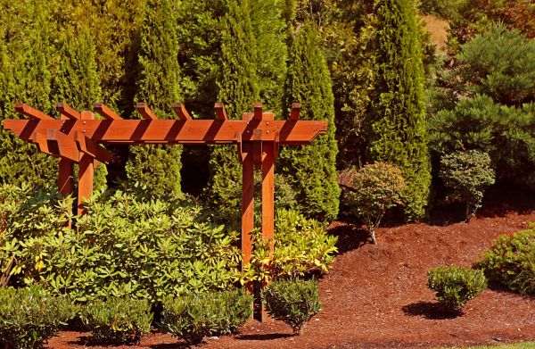 Arbor Construction