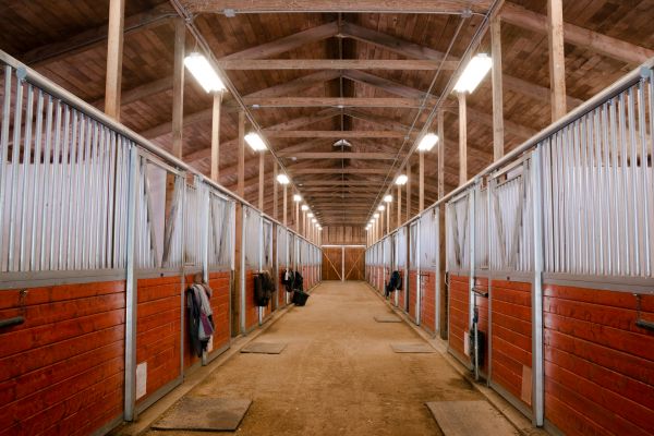 Barn Beam Repair