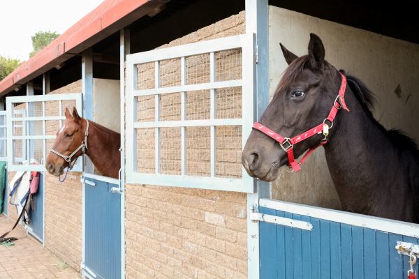 Stable Door Installation