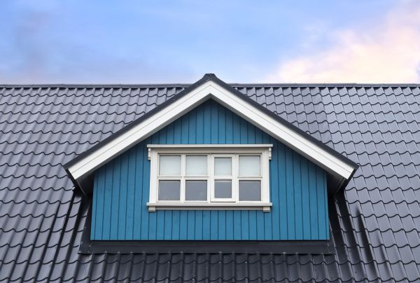Roof Framing Repair