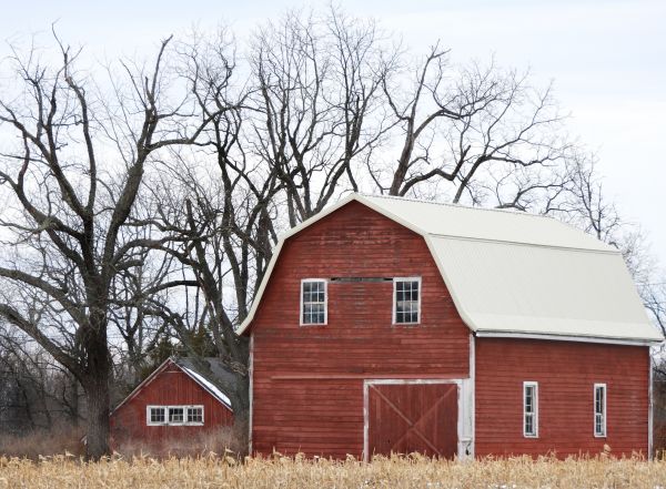 Barn Building