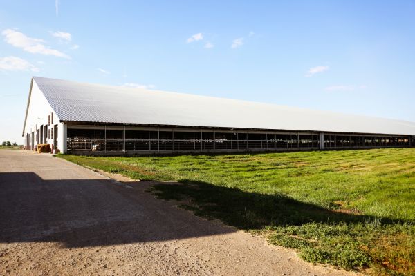 Barn Construction
