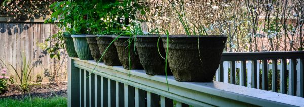 Handrail Renovation