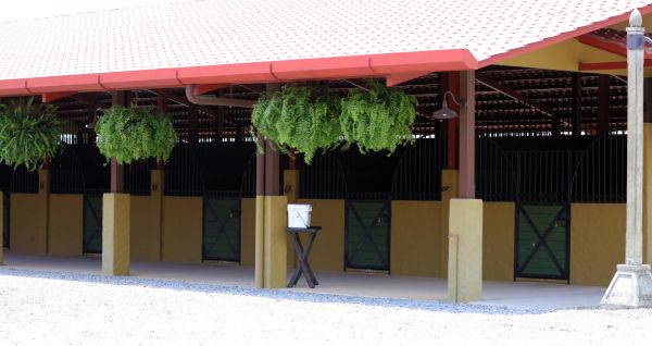 Horse Barn Construction