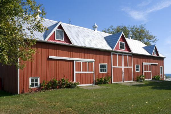 Barn Renovation